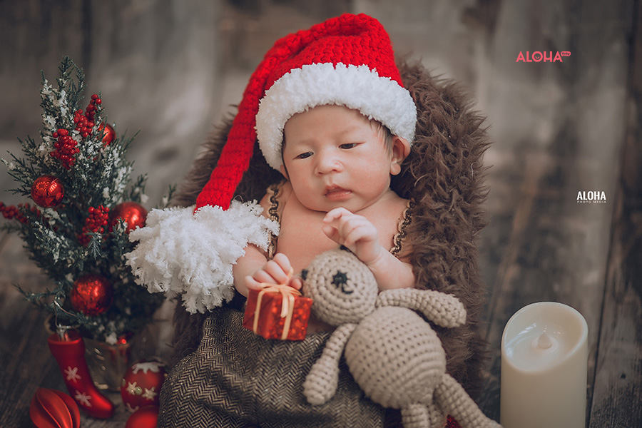 album ảnh giáng sinh newborn